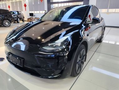 Tesla Model Y 2024 immagine di auto 