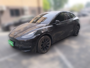Tesla Model Y 2021 Tesla Model Y 2021 car image