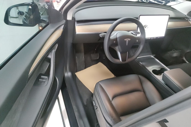 Tesla Model Y 2021 car image #16