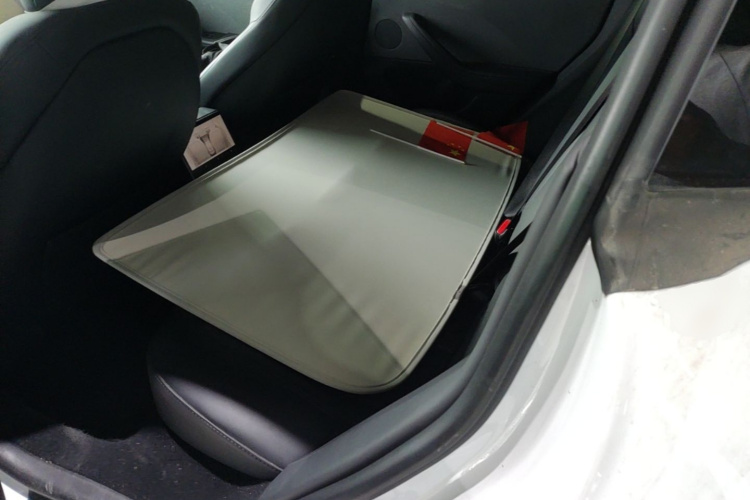 Tesla Model 3 2023 car image #17