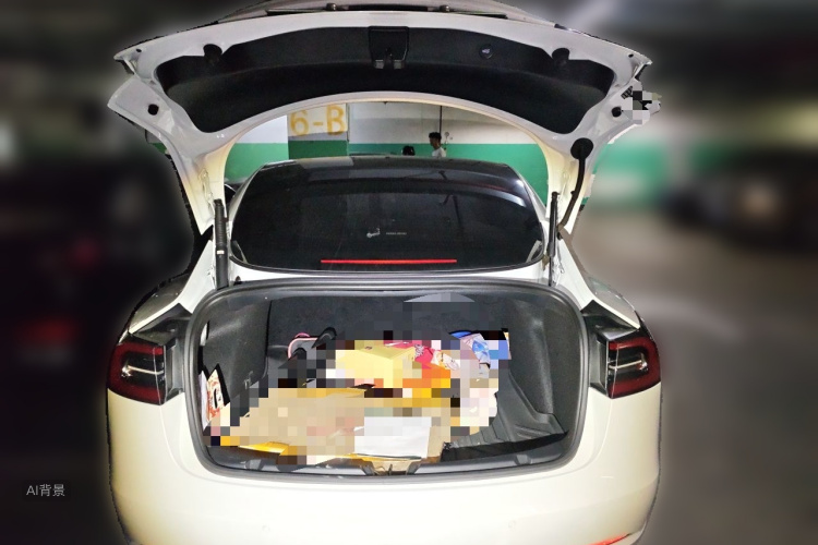 Tesla Model 3 2021 car image #21