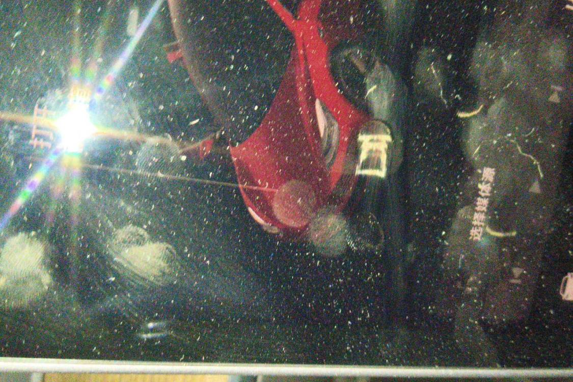 Tesla Model 3 2021 #29 Tesla Model 3 2021 car image #29