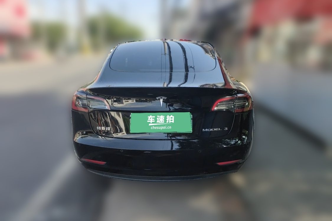 Tesla Model 3 2021 #6 Tesla Model 3 2021 car image #6