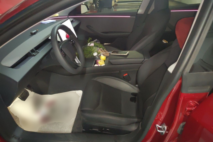 Tesla Model 3 2025 #15 Tesla Model 3 2025 car image #15
