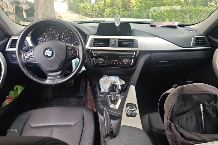BMW 3 Series 2016 car image #11