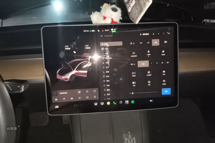 Tesla Model 3 2021 #13 Tesla Model 3 2021 car image #13
