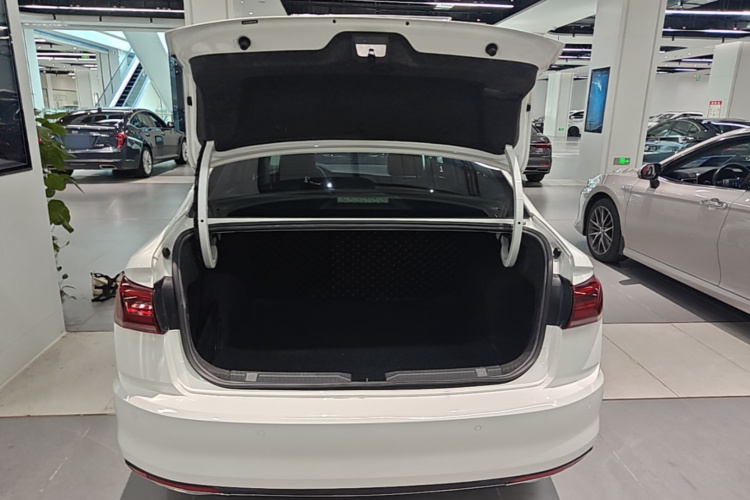 Volkswagen Bora 2019 car image #19
