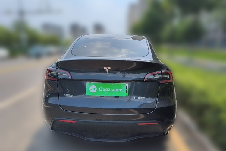 Tesla Model Y 2024 car image #4