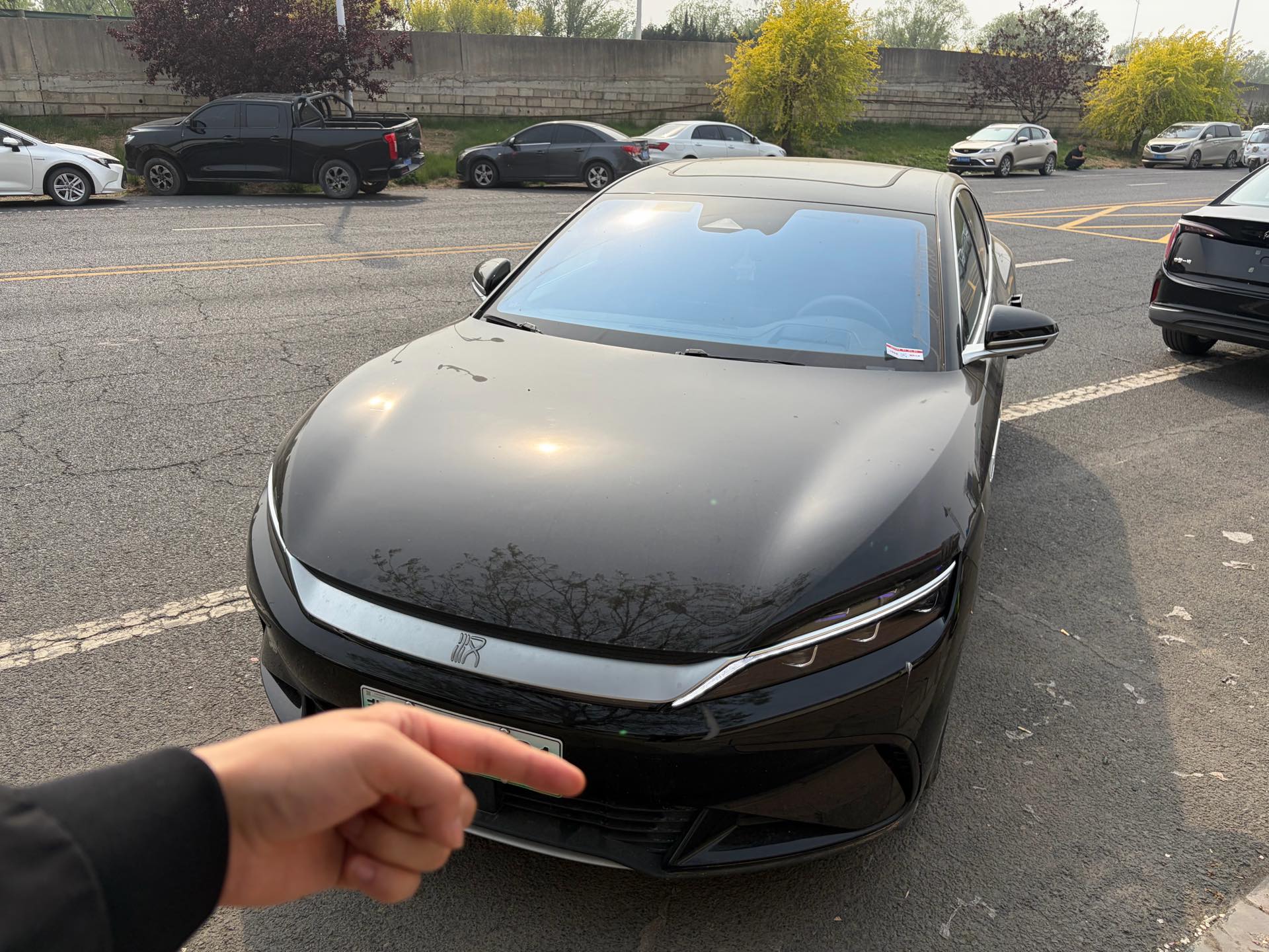 比亚迪 汉 2024 汽车图片 #2