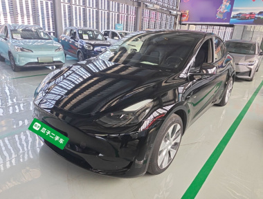 Tesla Model Y 2022 Tesla Model Y 2022 car image
