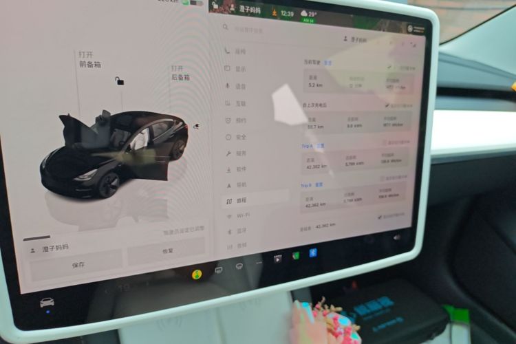 Tesla Model 3 2023 car image #13
