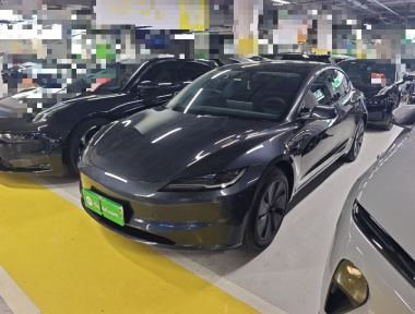 Tesla Model 3 2024 car image 