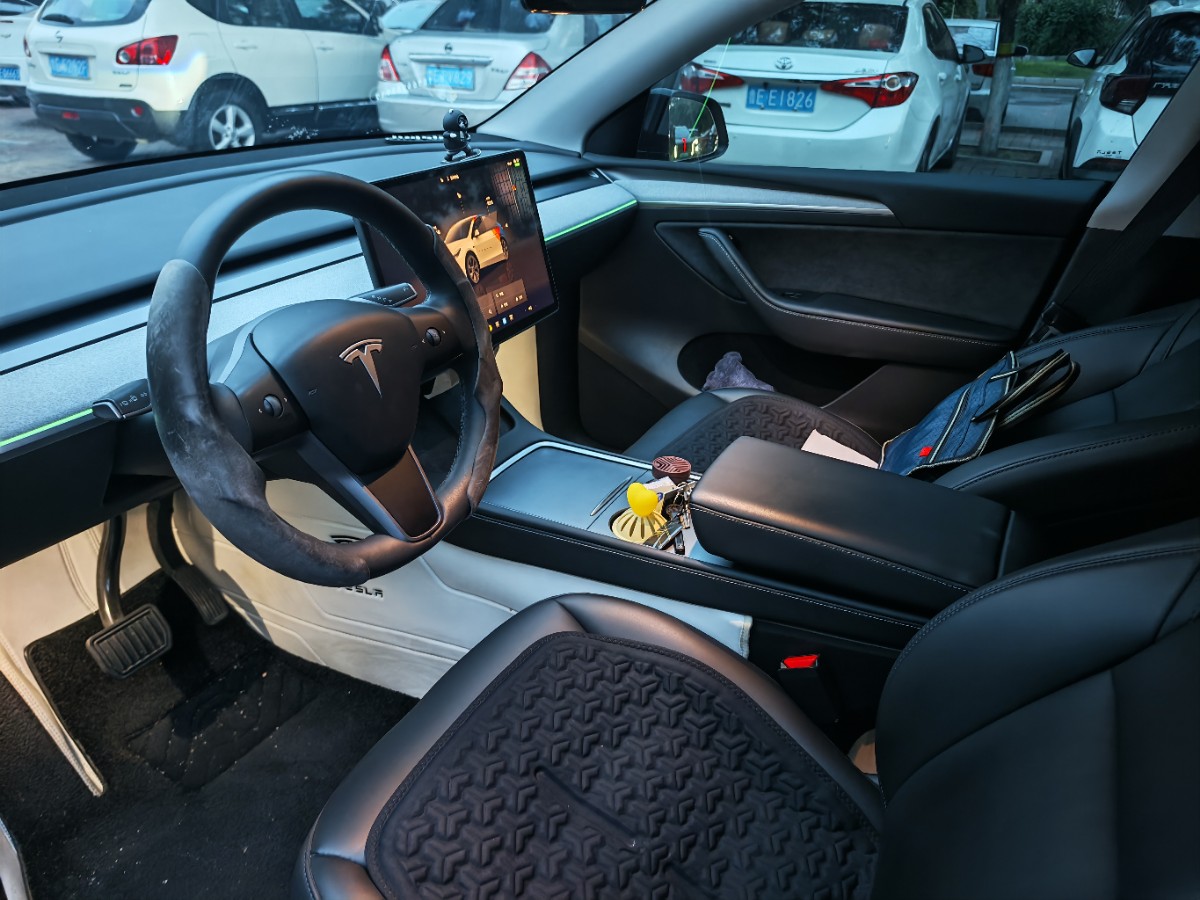 Tesla Model Y 2024 car image #6