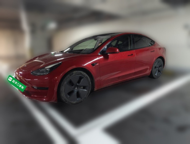 Tesla Model 3 2021 Tesla Model 3 2021 car image