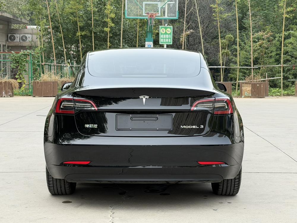 Tesla Model 3 2022 #5 Tesla Model 3 2022 car image #5