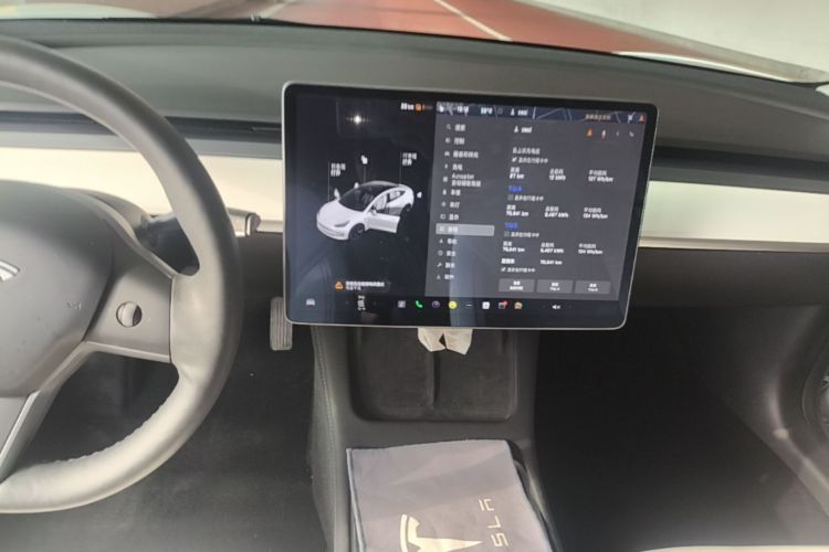Tesla Model 3 2021 car image #13