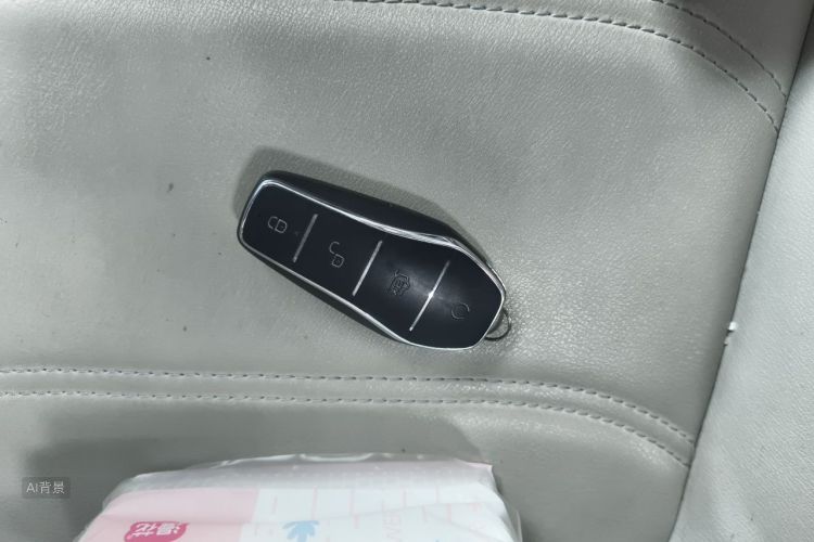 BYD Yuan Pro 2021 #10 BYD Yuan Pro 2021 imagem de carro #10