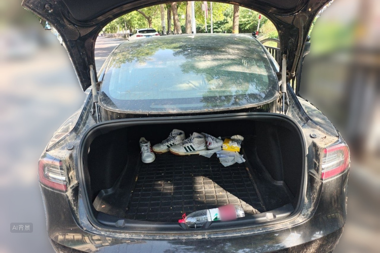 Tesla Model 3 2020 immagine di auto #21