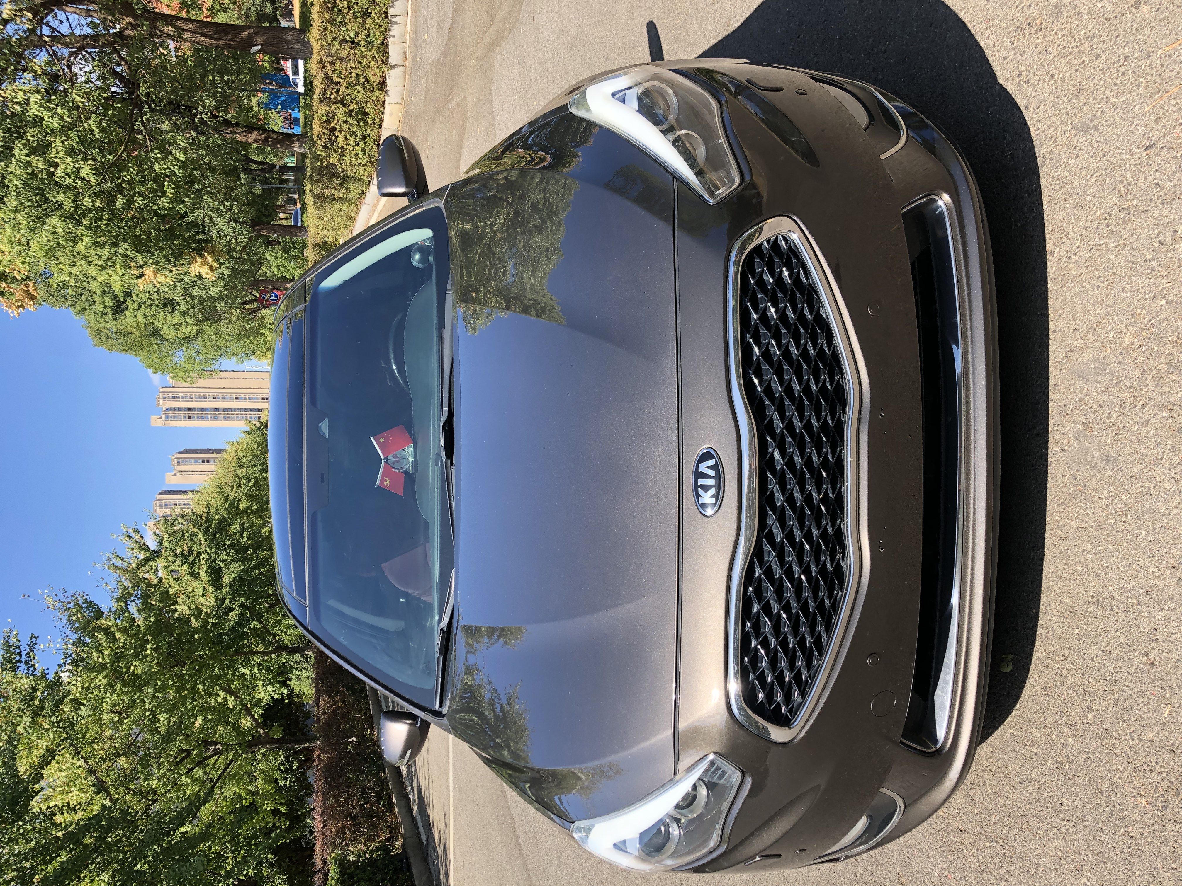 Kia Cadenza 2013 汽车图片 