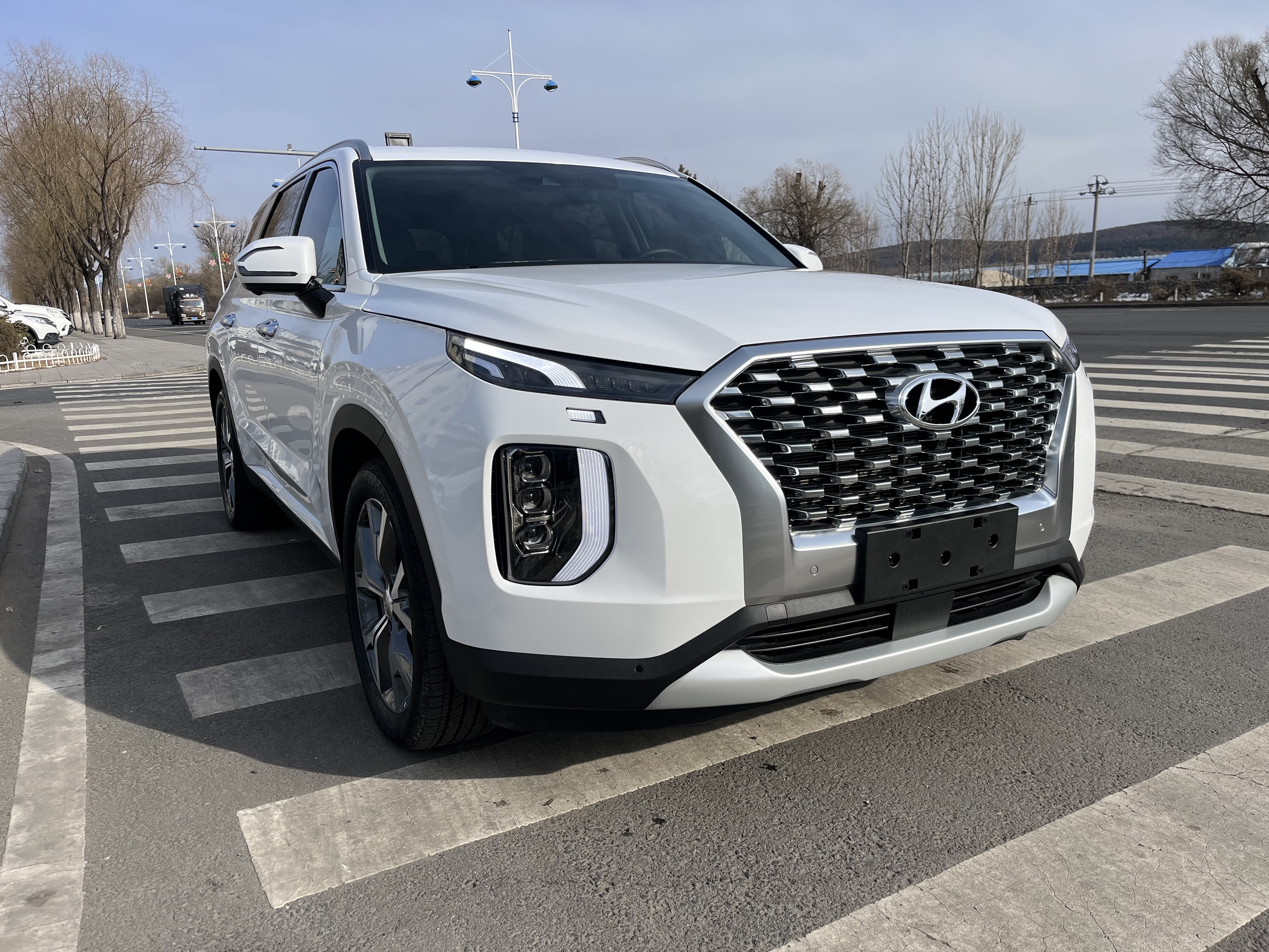 Hyundai Palisade 2020 car image 