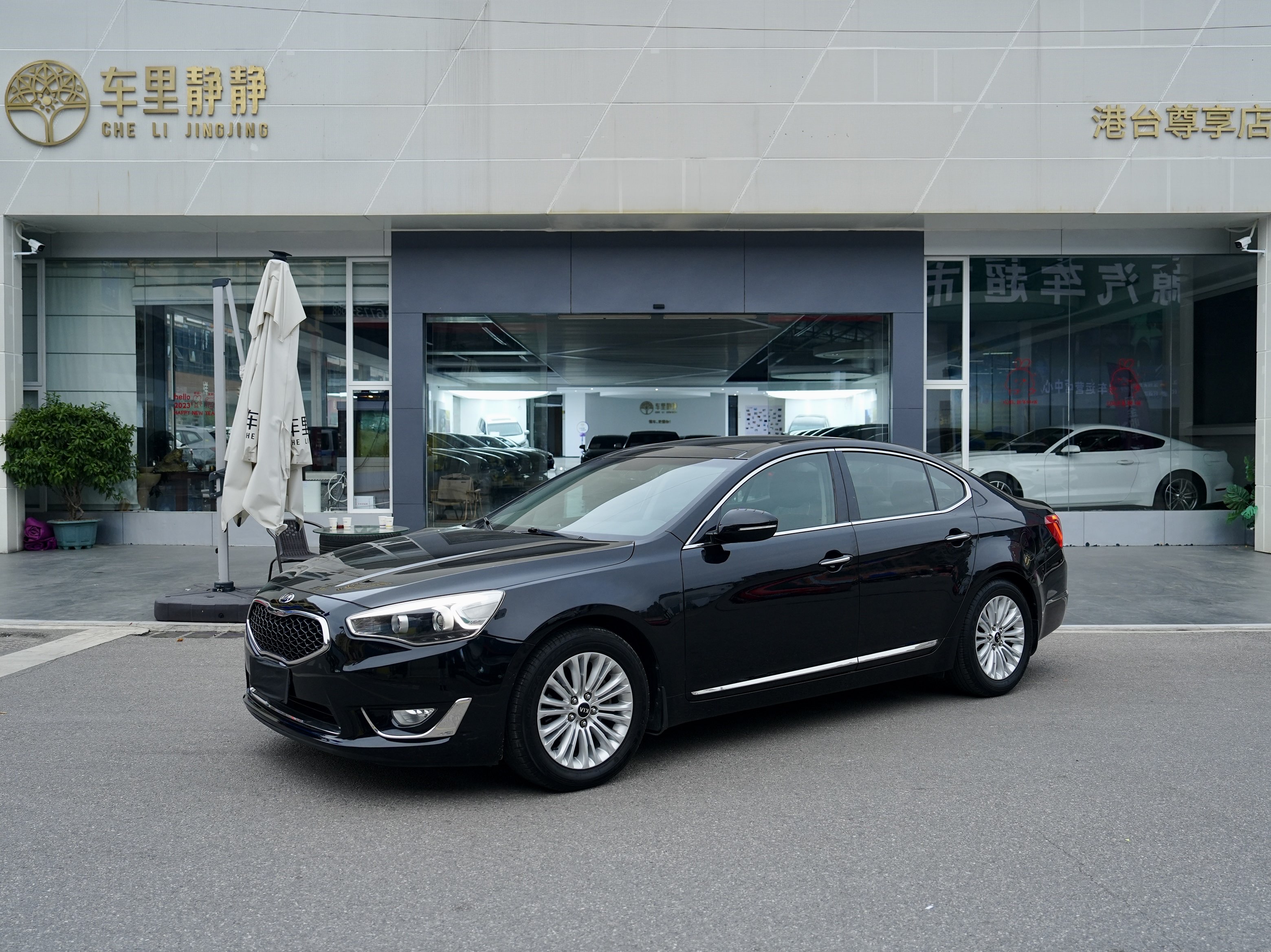 Kia Cadenza 2013 汽车图片 