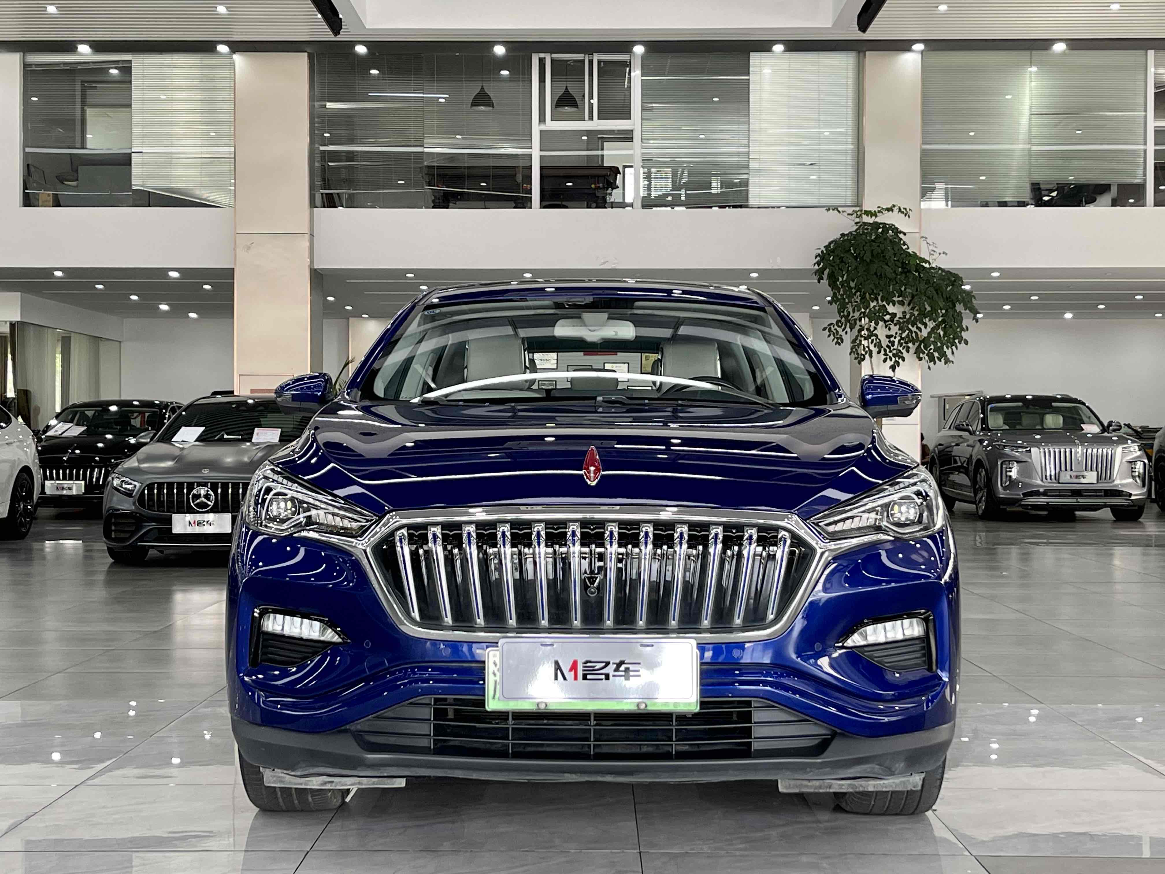 HongQi E-HS3 2020 car image 