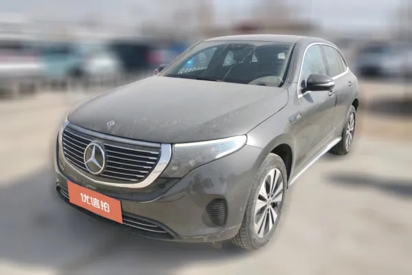 Mercedes-Benz EQC Class 2020 car image 