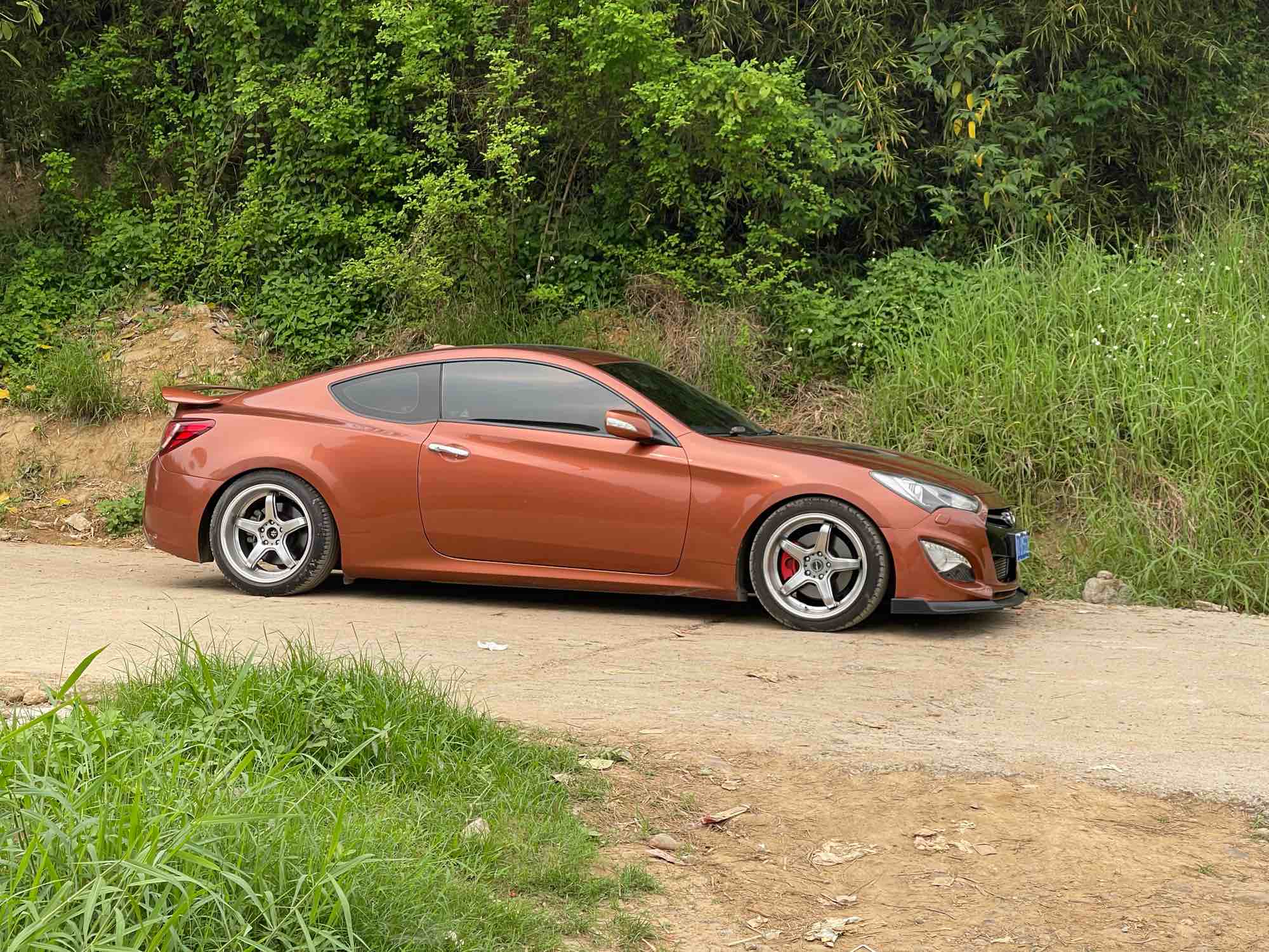 Hyundai Rohens 2013 car image 