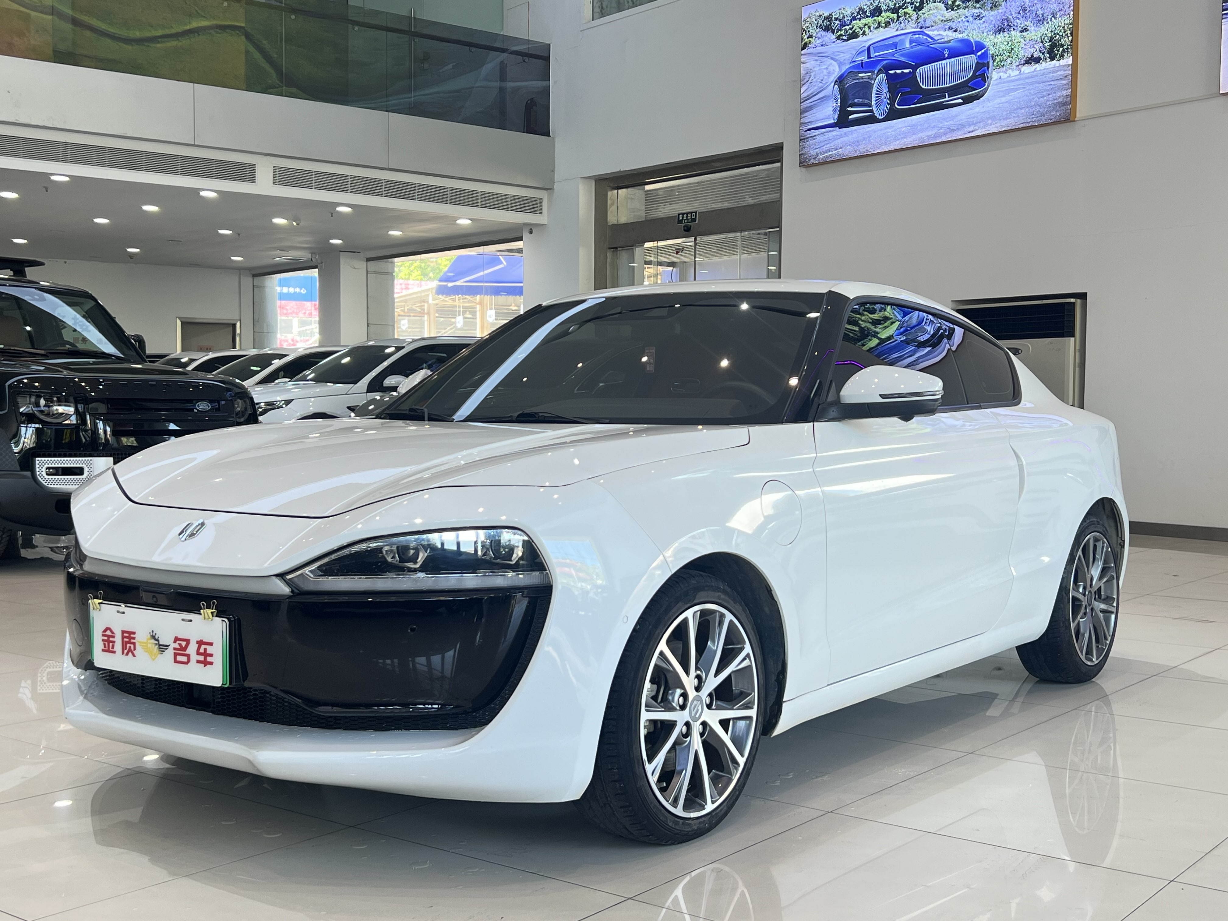 Leapmotor S01 2019 汽车图片 