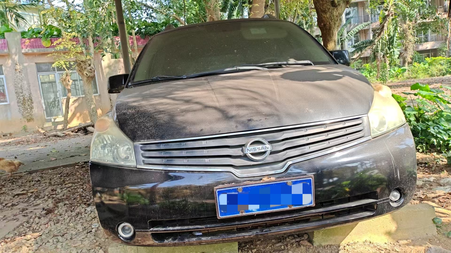 Nissan Quest 2006 汽车图片 