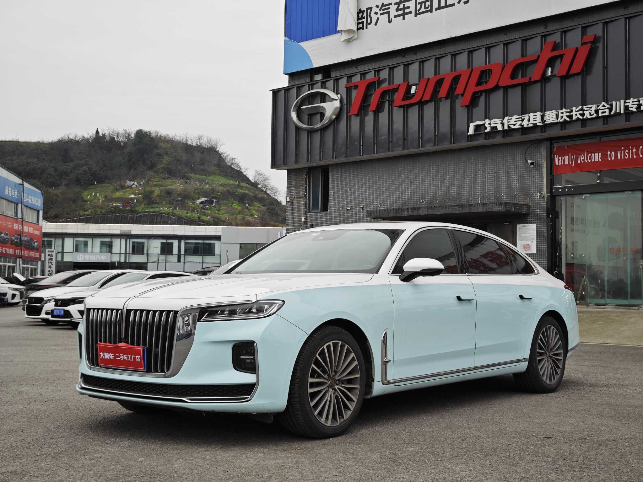 HongQi HQ9 2022 car image 