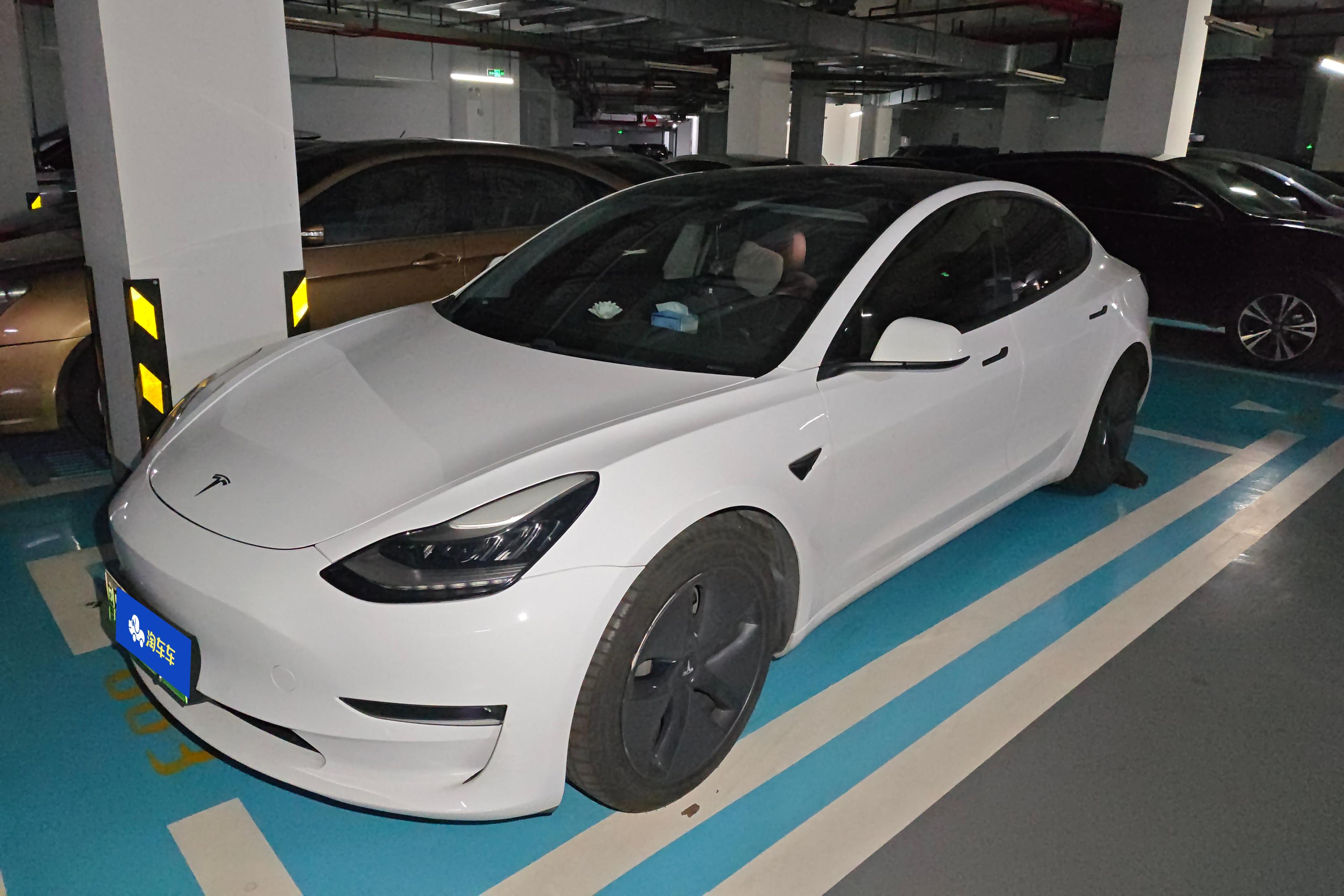 Tesla Model 3 (Imported) 2019 汽车图片 