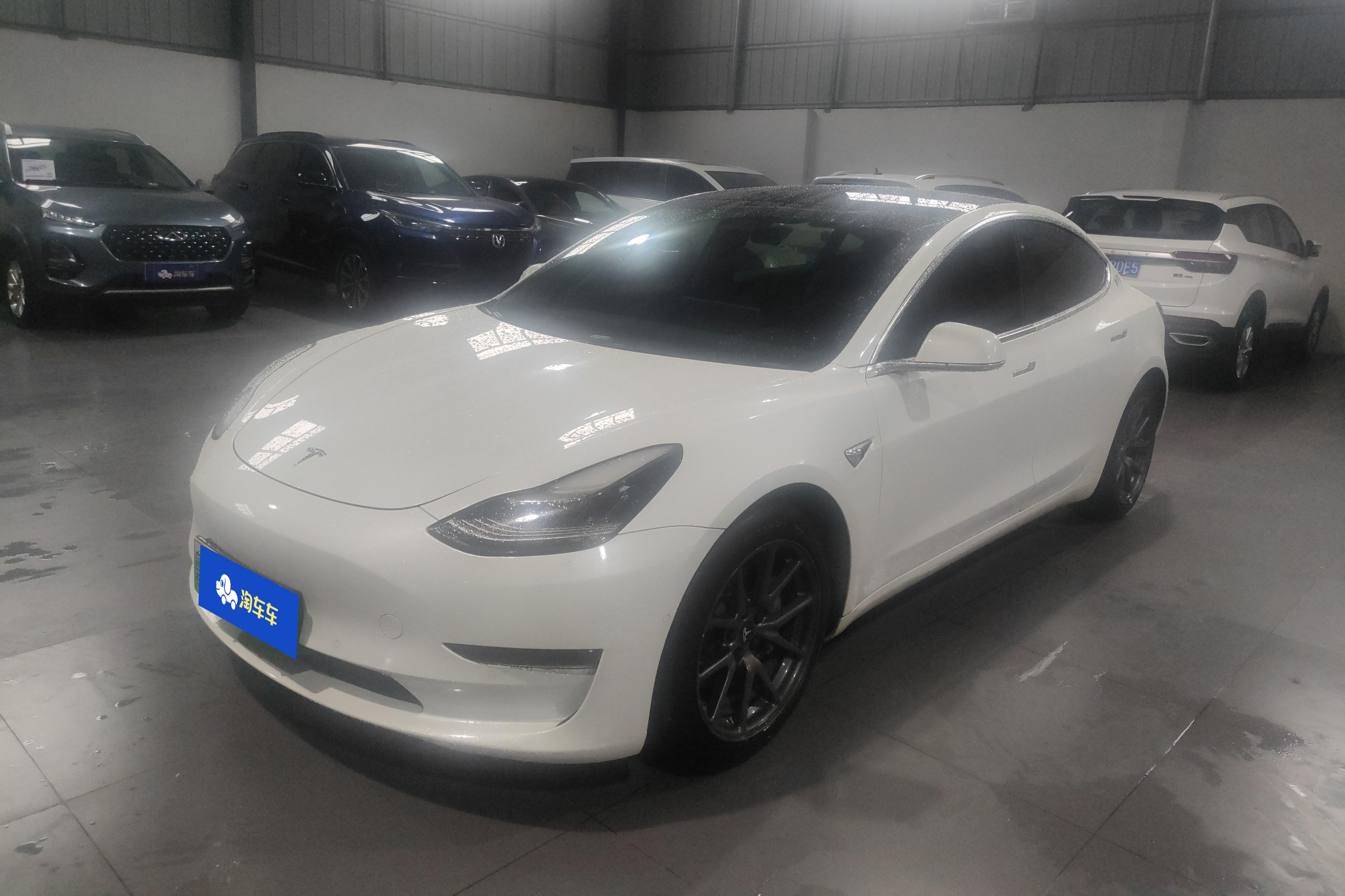 Tesla Model 3 (Imported) 2019 汽车图片 