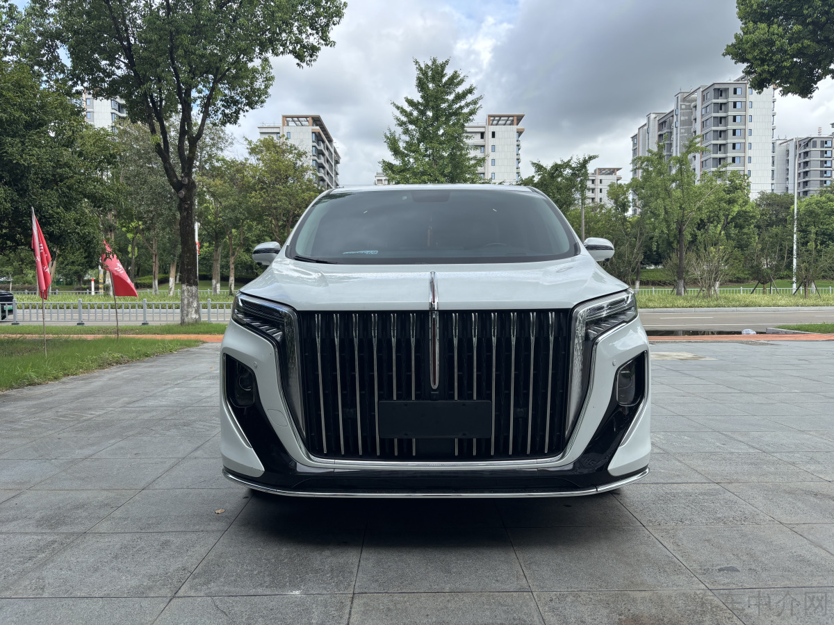 HongQi HQ9 2023 car image 