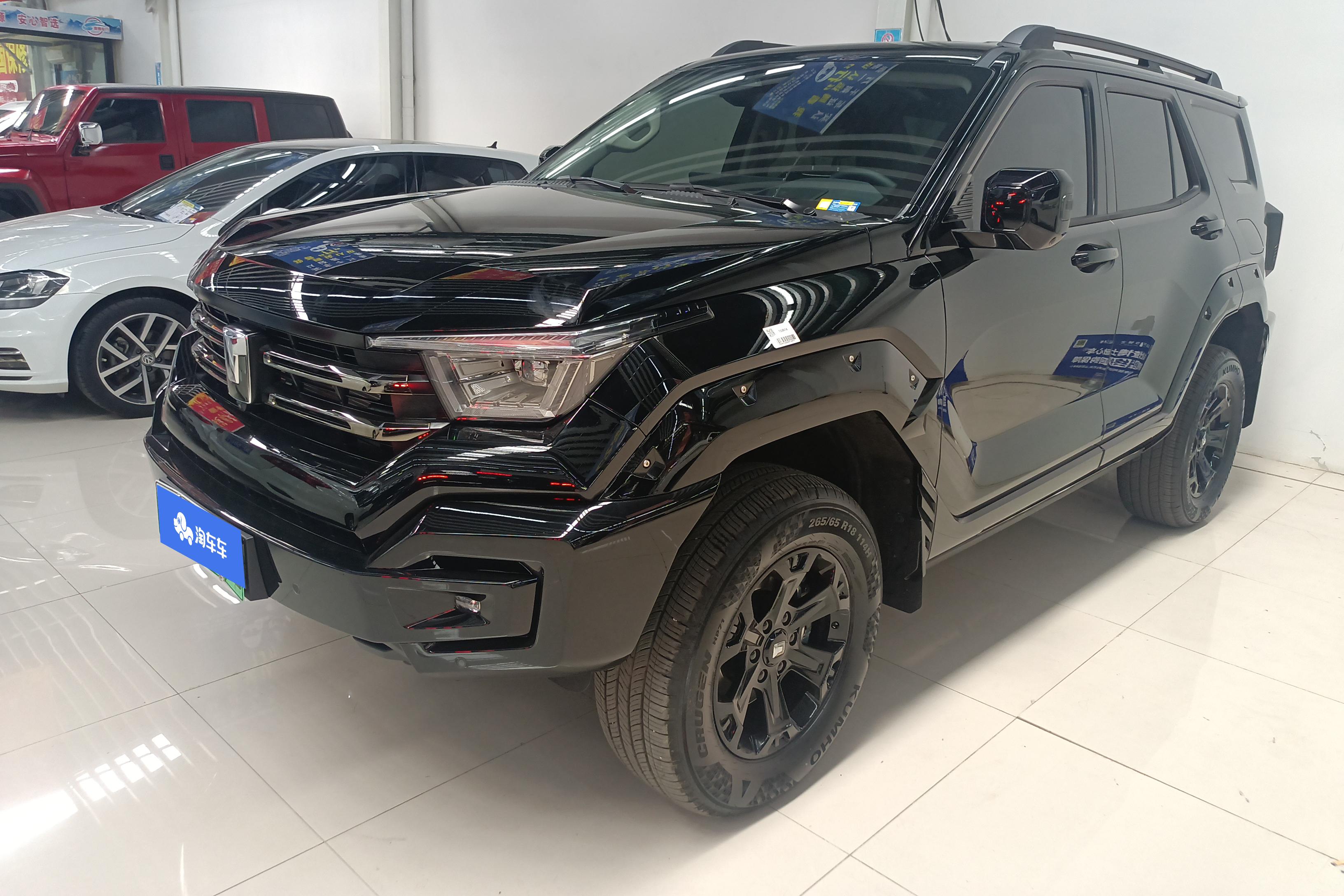 Tank 400 2024 Tank 400 2024 car image