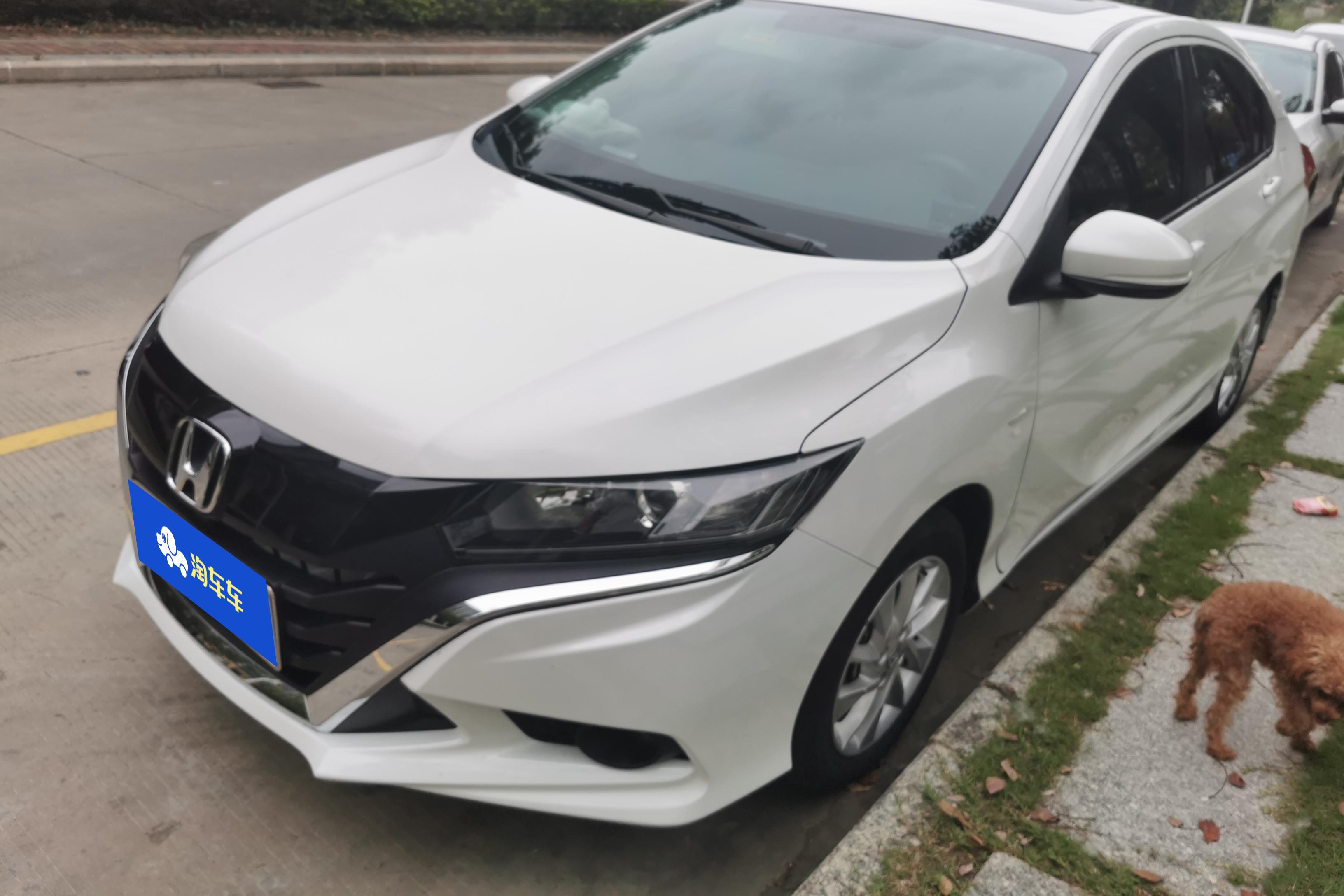 Honda Gienia 2019 car image 