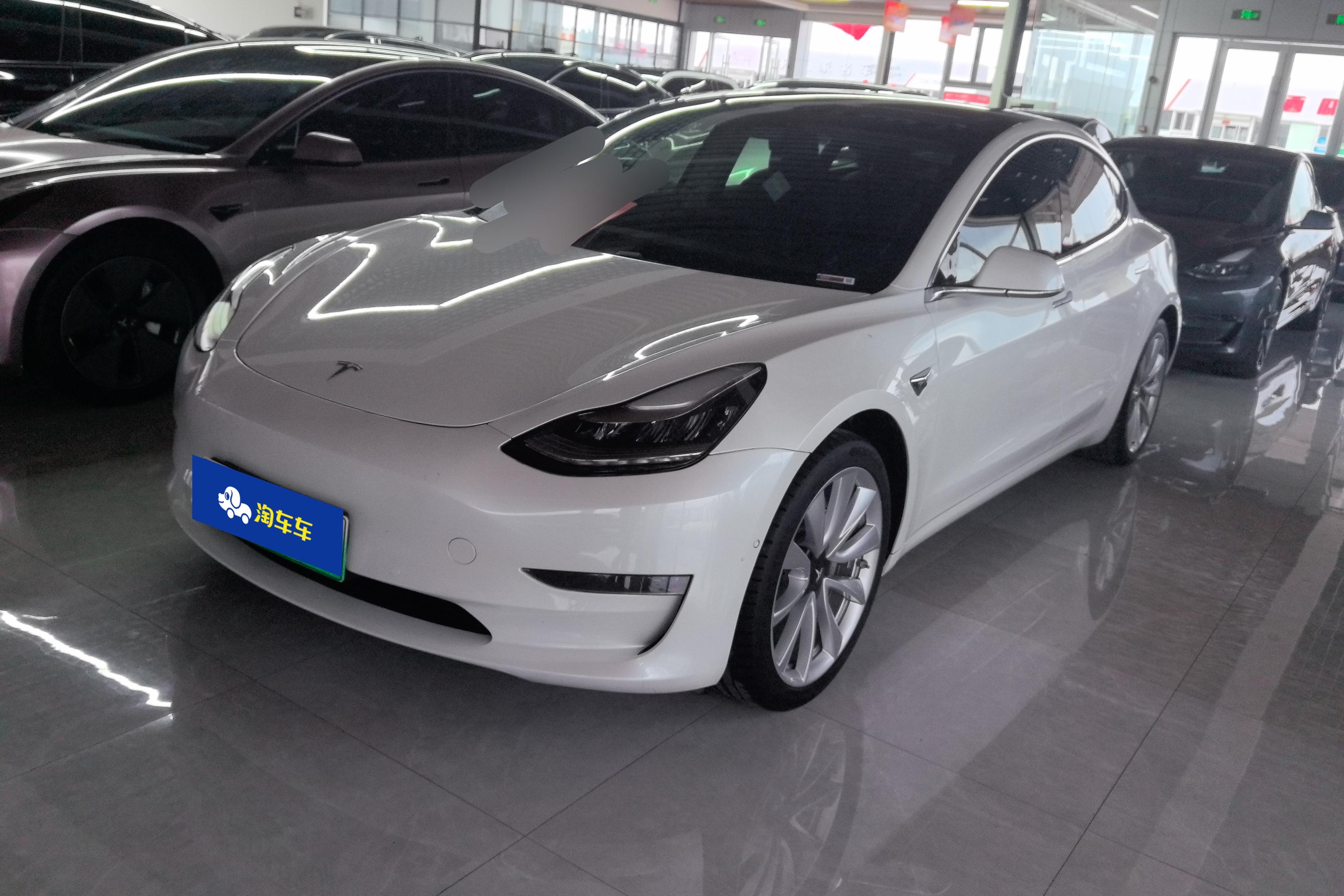 Tesla Model 3 (Imported) 2021 汽车图片 