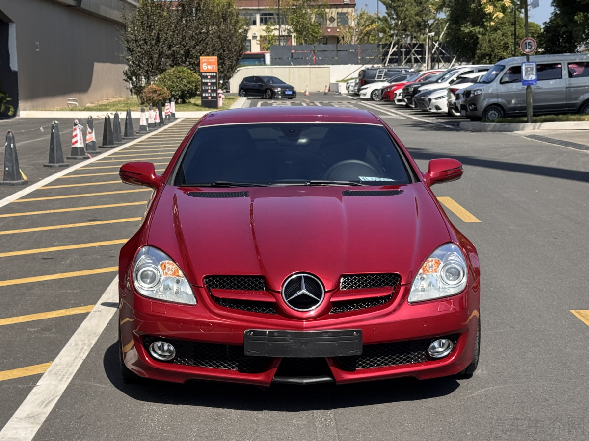 Mercedes-Benz SLK Class 2010 car image 