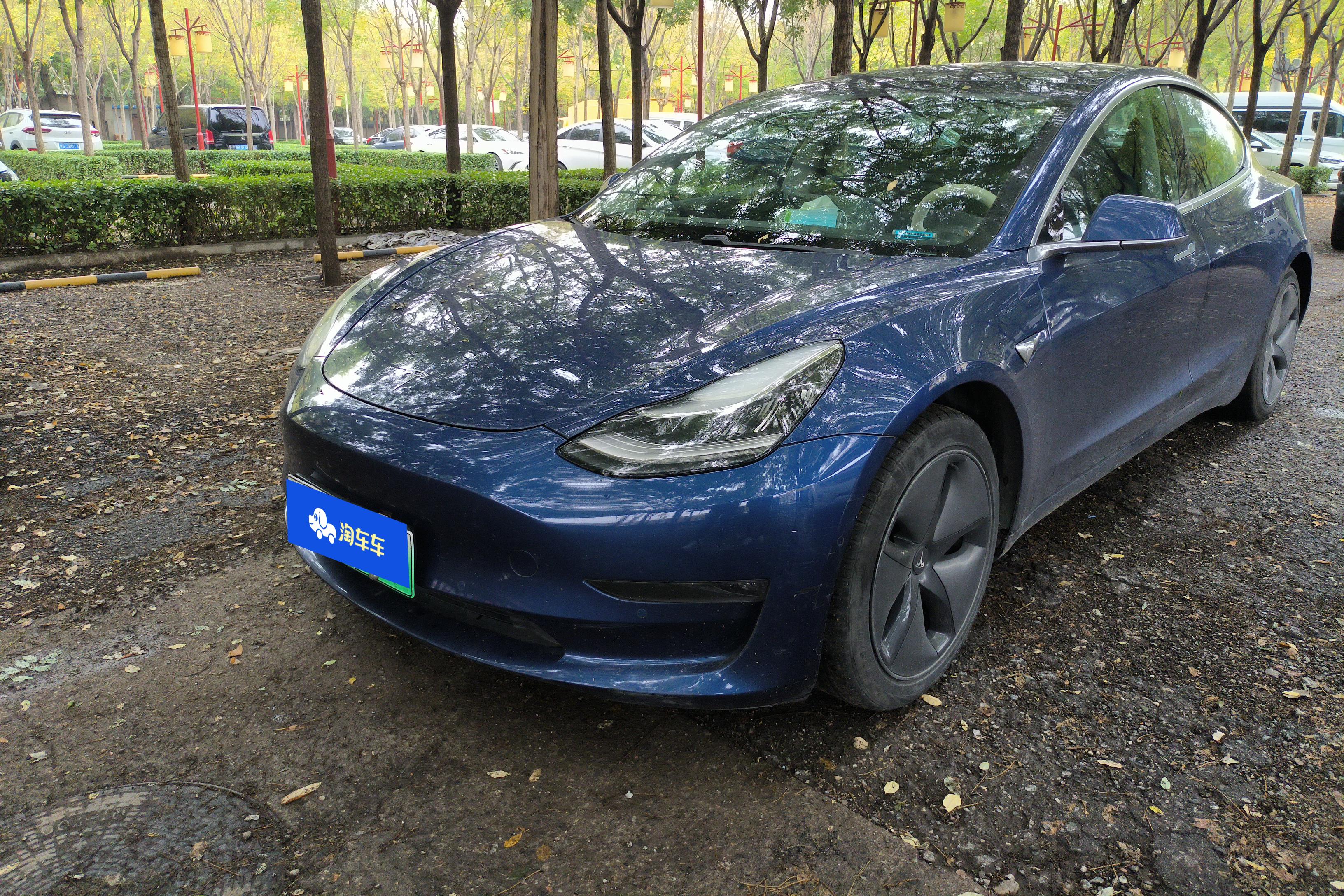 Tesla Model 3 (Imported) 2019 汽车图片 