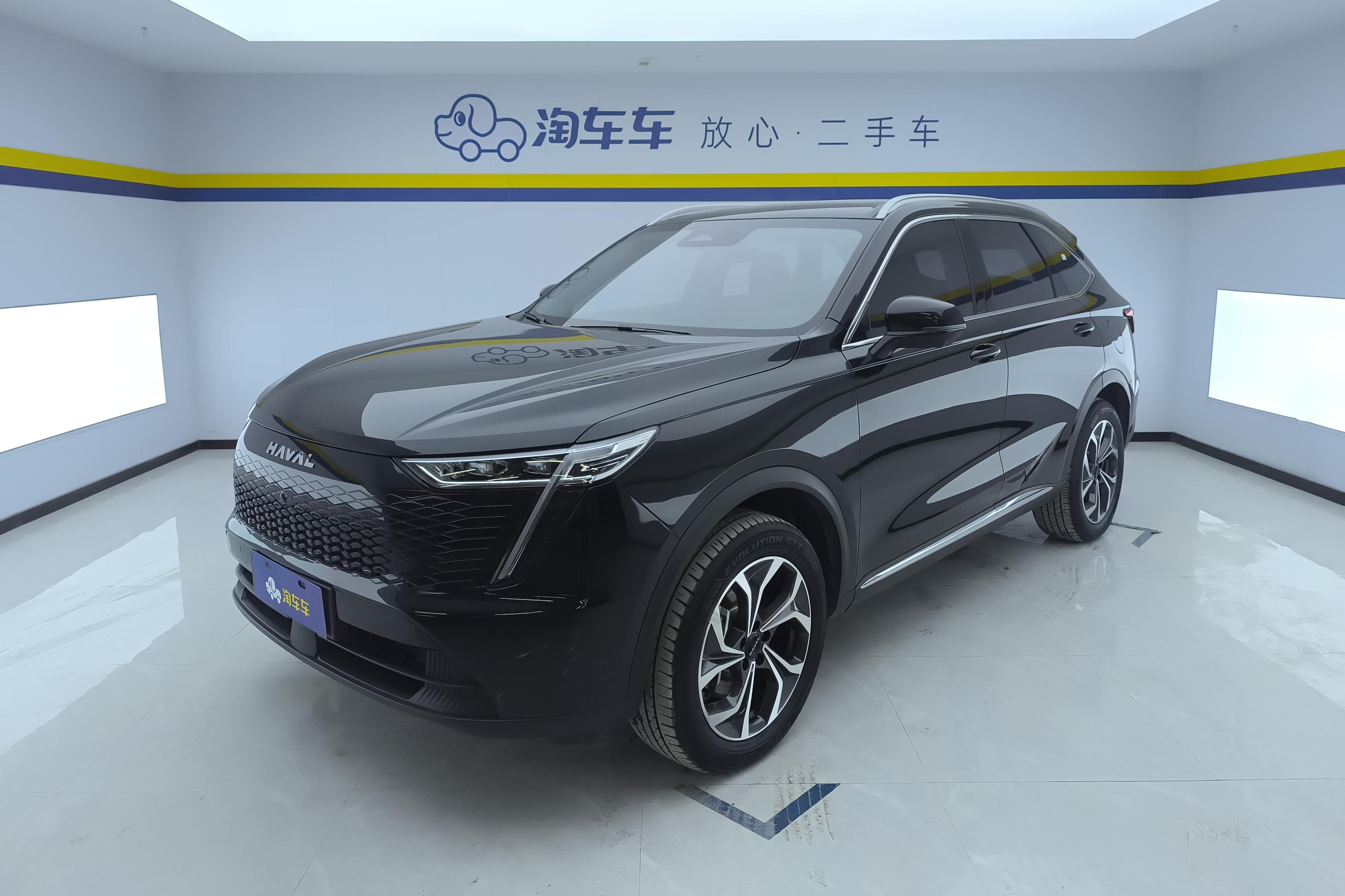 Haval Fierce Dragon MAX 2024 car image 
