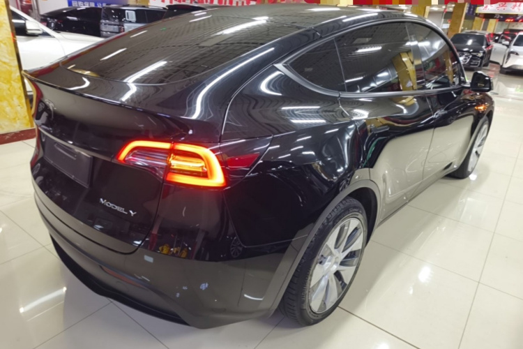 Tesla Model Y 2021 car image #5