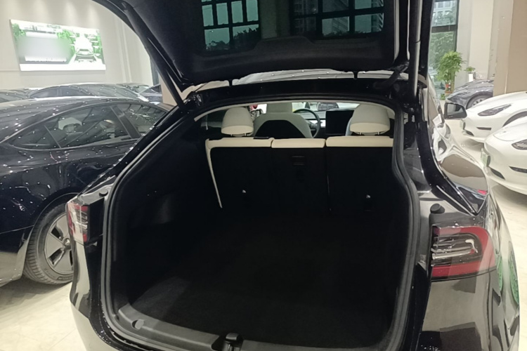 Tesla Model Y 2022 #19 Tesla Model Y 2022 car image #19