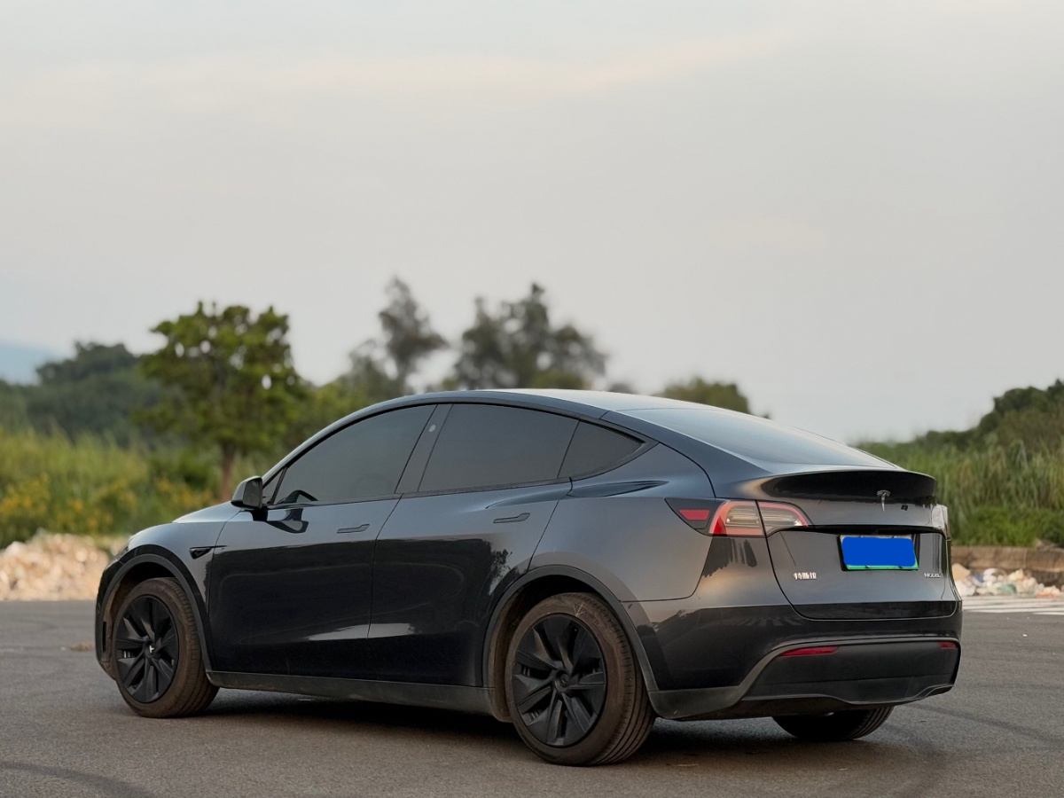 Tesla Model Y 2024 #3 Tesla Model Y 2024 car image #3