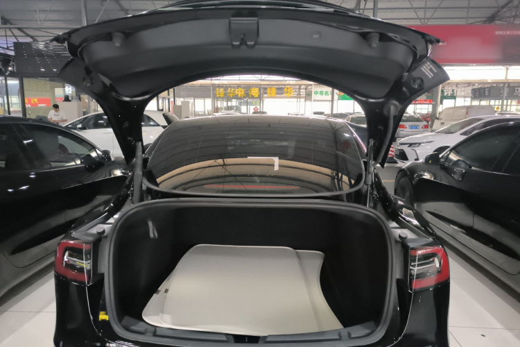 Tesla Model 3 2021 car image #19