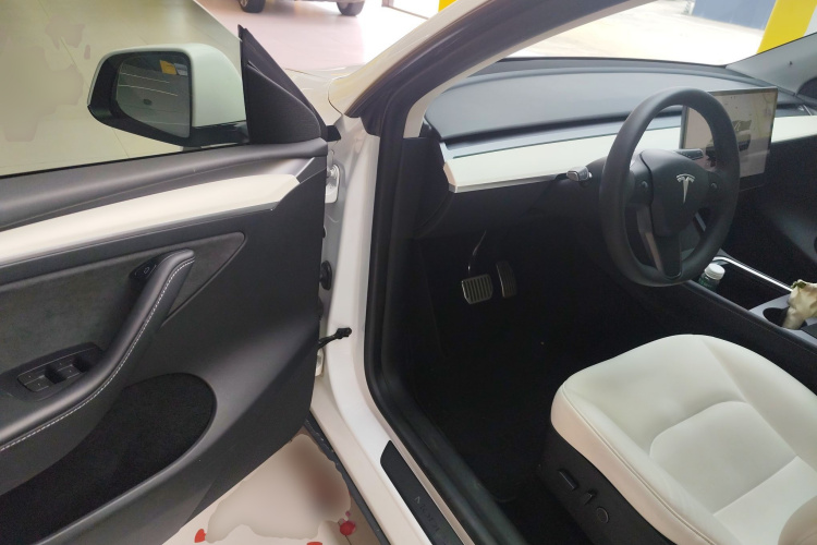 Tesla Model Y 2023 car image #12