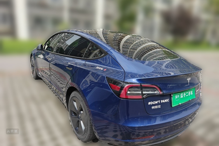 Tesla Model 3 2021 car image #5
