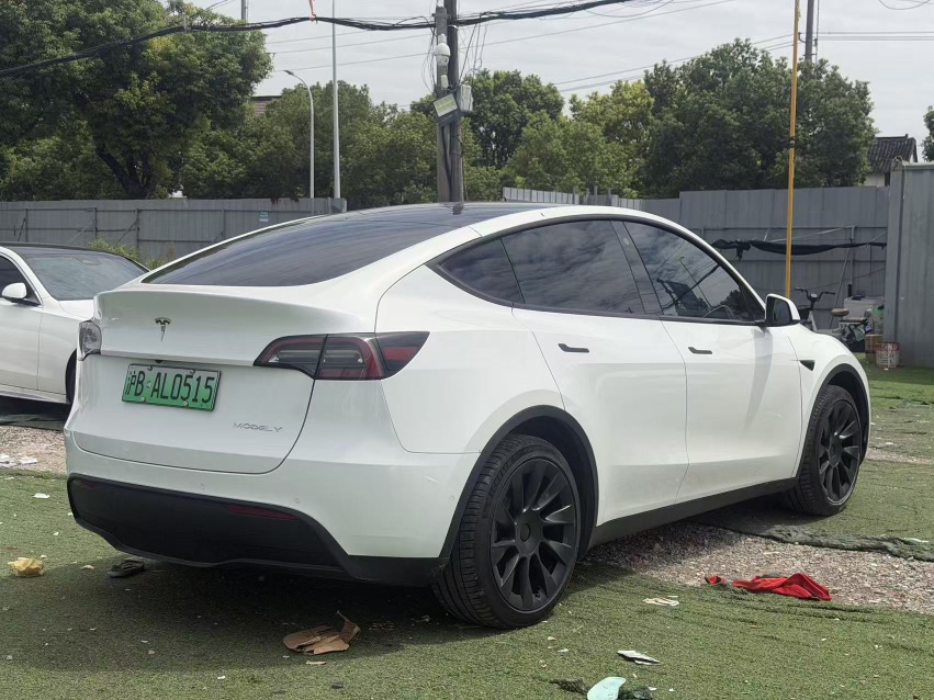 Tesla Model Y 2024 car image #7