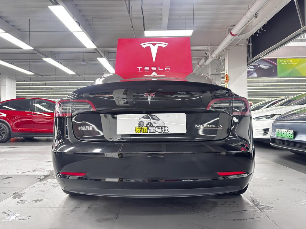 Tesla Model 3 2023 car image #6