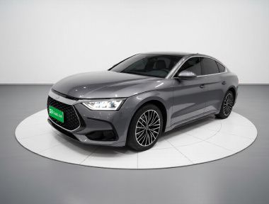BYD Han 2022 car image 