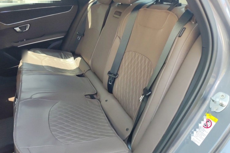 BYD Han 2020 car image #14